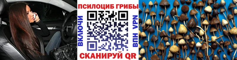Псилоцибиновые грибы GOLDEN TEACHER hydra ссылки Славянск-на-Кубани