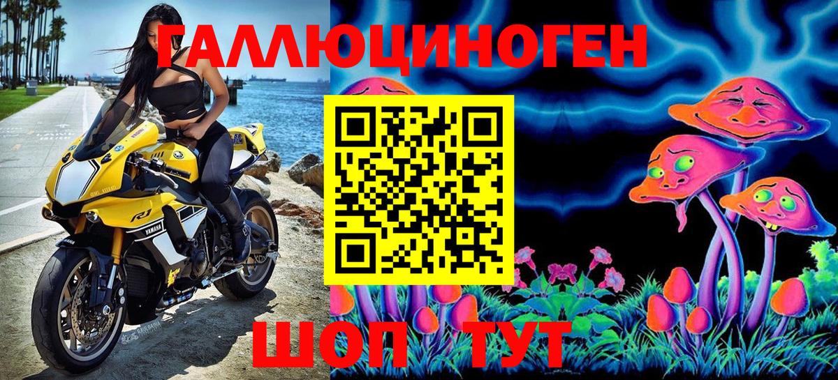 Галлюциногенные грибы Cubensis  Славянск-на-Кубани 