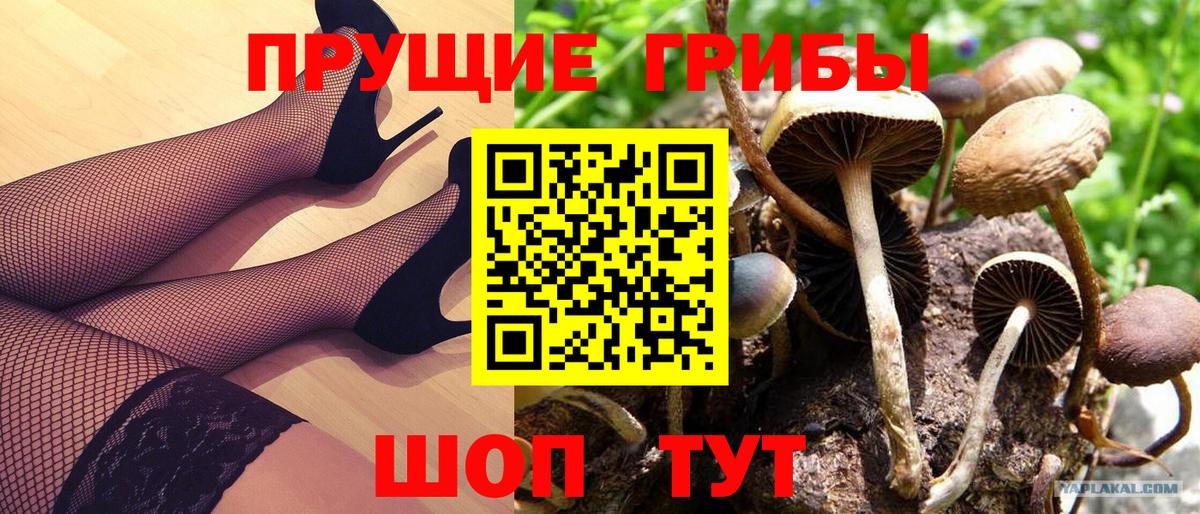 Галлюциногенные грибы ЛСД Славянск-на-Кубани